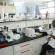 sciences_chimiques_et_biologiques-1 02-28-13